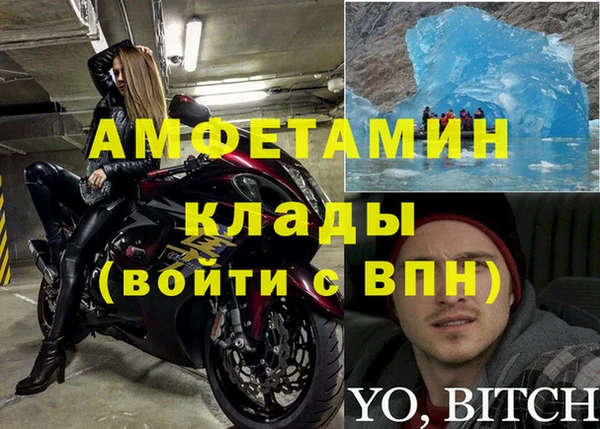 крисы Вязьма