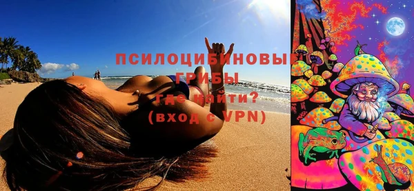крисы Вязьма