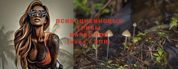 крисы Вязьма