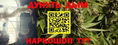 прущие грибы Донецк