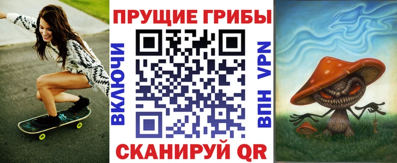 Галлюциногенные грибы Psilocybine cubensis Ноябрьск