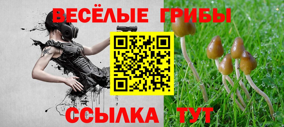 Галлюциногенные грибы Psilocybine cubensis Ноябрьск